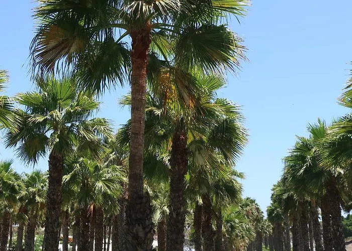 Lejlighed Sunny Tanife By Yumbo *